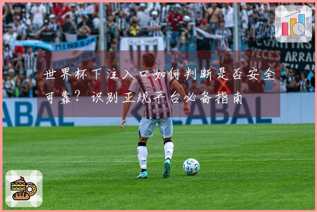世界杯下注入口如何判断是否安全可靠？识别正规平台必备指南