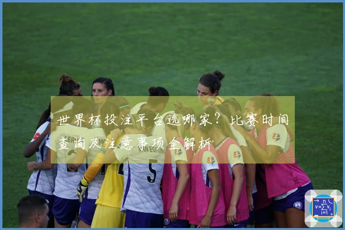 世界杯投注平台选哪家？比赛时间查询及注意事项全解析