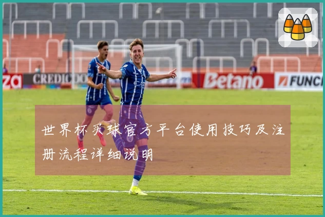 世界杯买球官方平台使用技巧及注册流程详细说明