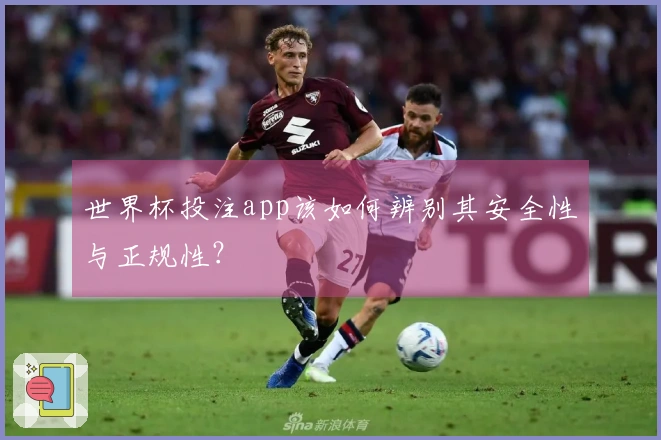 世界杯投注app该如何辨别其安全性与正规性？