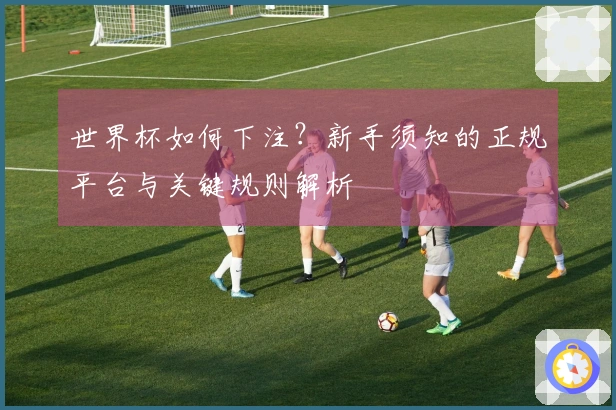 世界杯如何下注？新手须知的正规平台与关键规则解析