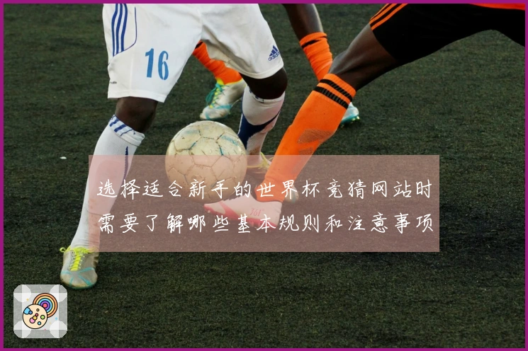 选择适合新手的世界杯竞猜网站时需要了解哪些基本规则和注意事项