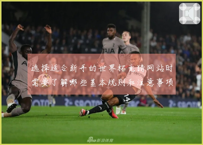 选择适合新手的世界杯竞猜网站时需要了解哪些基本规则和注意事项