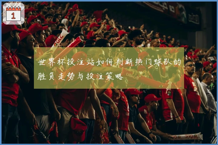 世界杯投注站如何判断热门球队的胜负走势与投注策略