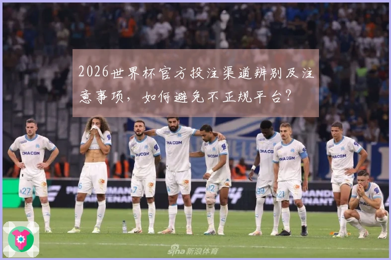 2026世界杯官方投注渠道辨别及注意事项，如何避免不正规平台？