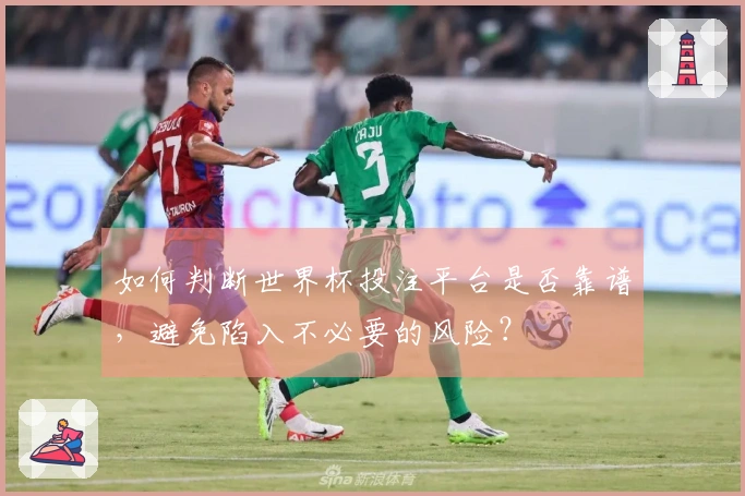 如何判断世界杯投注平台是否靠谱，避免陷入不必要的风险？