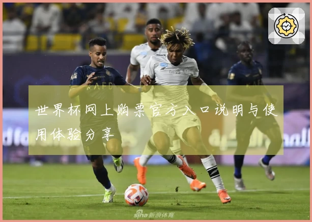 世界杯网上购票官方入口说明与使用体验分享