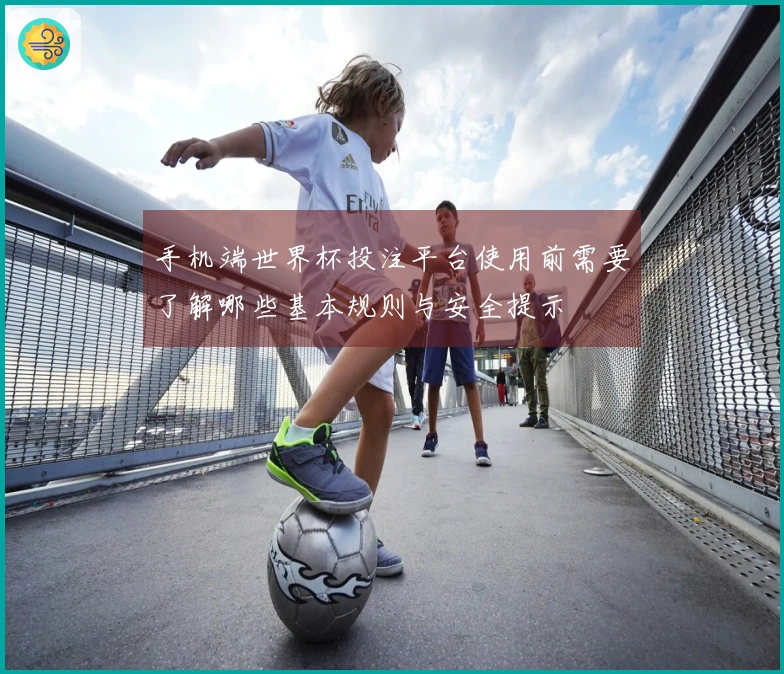 手机端世界杯投注平台使用前需要了解哪些基本规则与安全提示