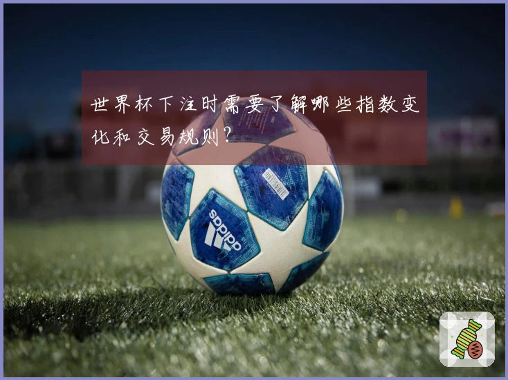世界杯下注时需要了解哪些指数变化和交易规则？