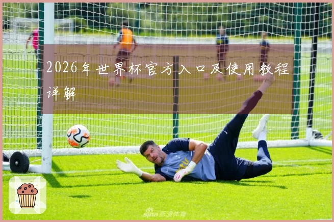 2026年世界杯官方入口及使用教程详解