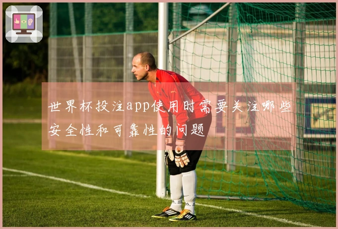 世界杯投注app使用时需要关注哪些安全性和可靠性的问题