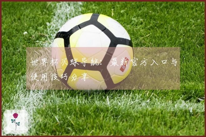 世界杯买球导航：最新官方入口与使用技巧分享