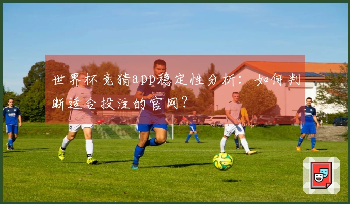世界杯竞猜app稳定性分析：如何判断适合投注的官网？