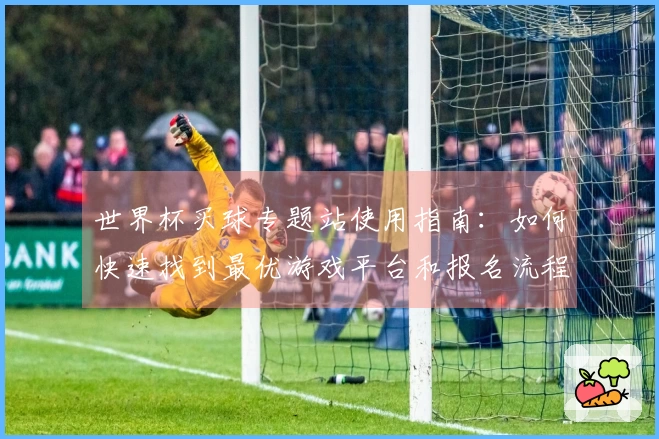 世界杯买球专题站使用指南：如何快速找到最优游戏平台和报名流程