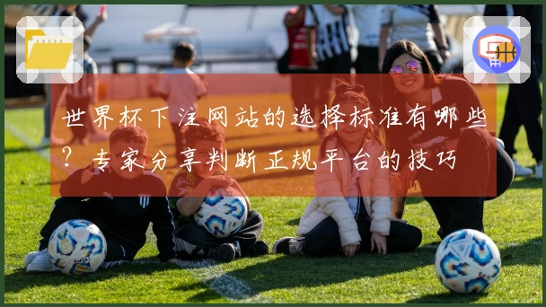 世界杯下注网站的选择标准有哪些？专家分享判断正规平台的技巧