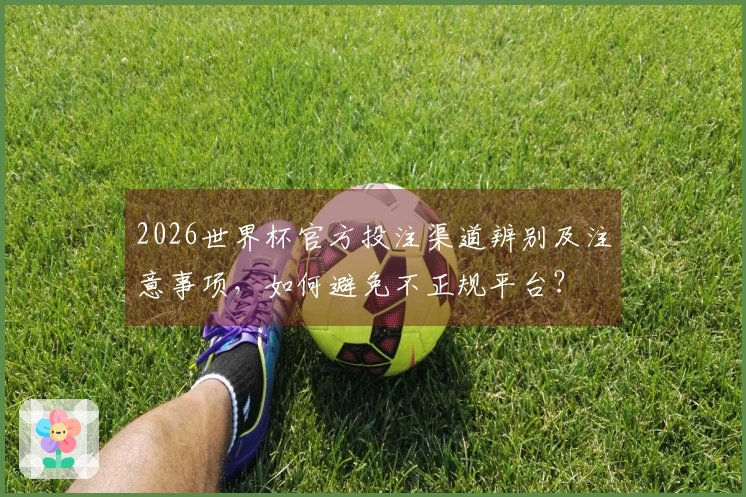 2026世界杯官方投注渠道辨别及注意事项，如何避免不正规平台？
