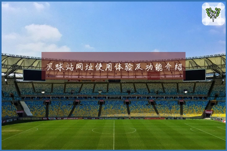 买球站网址使用体验及功能介绍