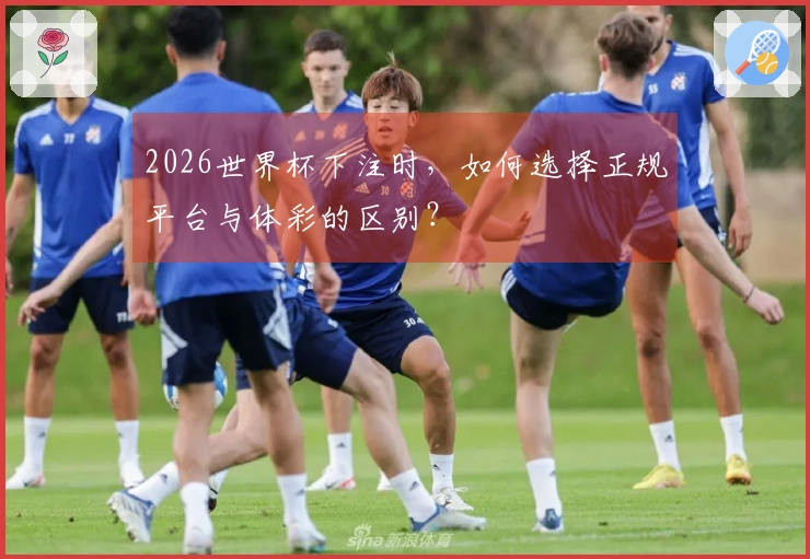 2026世界杯下注时，如何选择正规平台与体彩的区别？